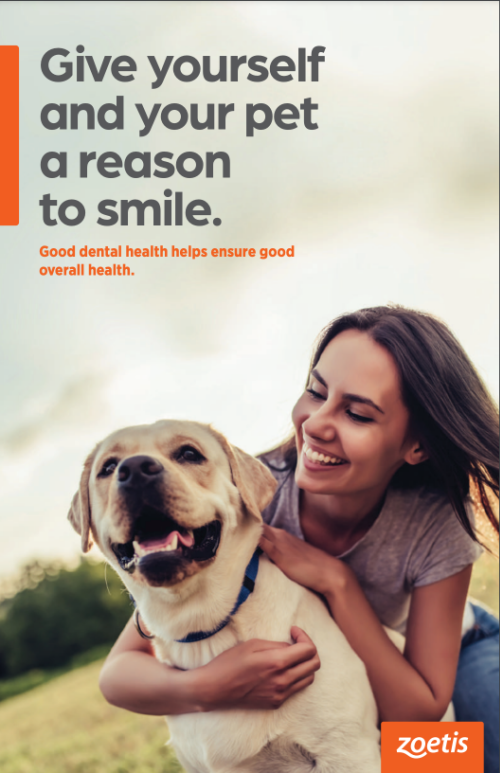 La Plaza Vet Clinic Dental Health Brochure Cover