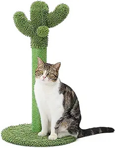 Cat Scratching Post