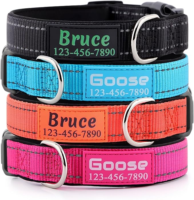 Personalized Dog Collars